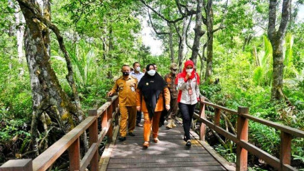 MANGROVE